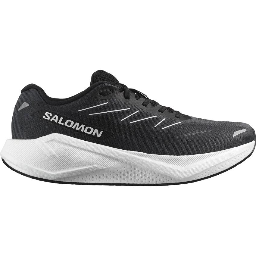 SALOMON（サロモン） SALOMON L47874400 AERO BLAZE 3 カラーPhantom