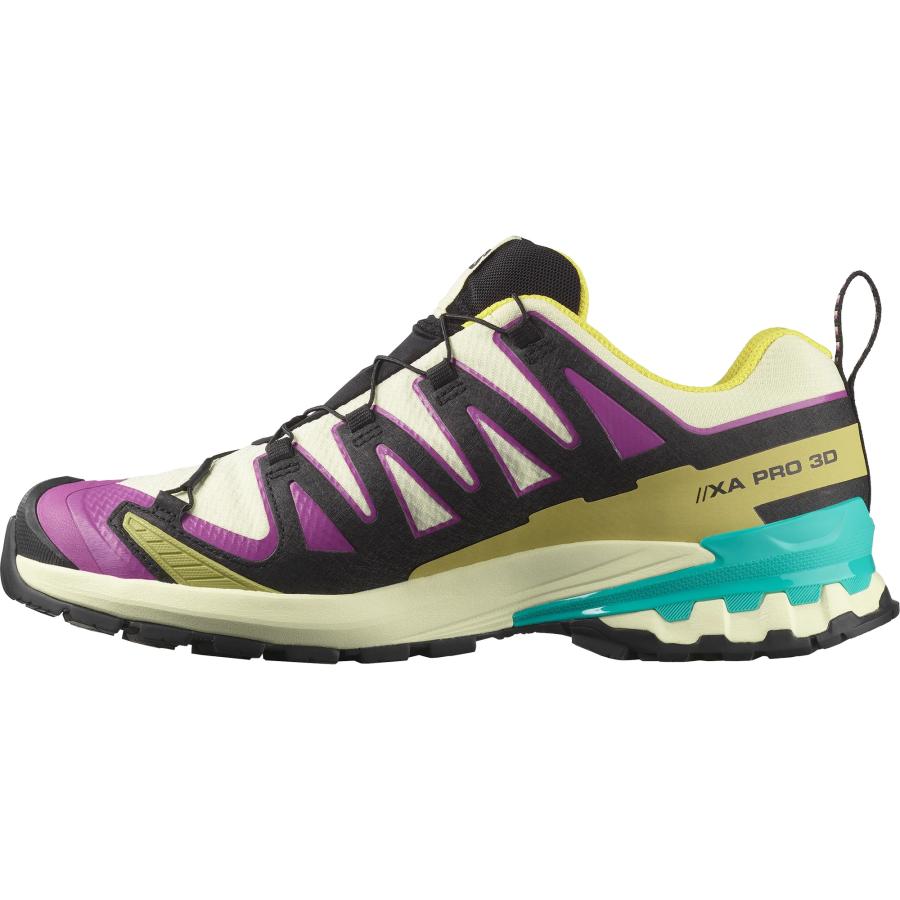 SALOMON（サロモン） SALOMON L47881700 XA PRO 3D V9 GTX カラー