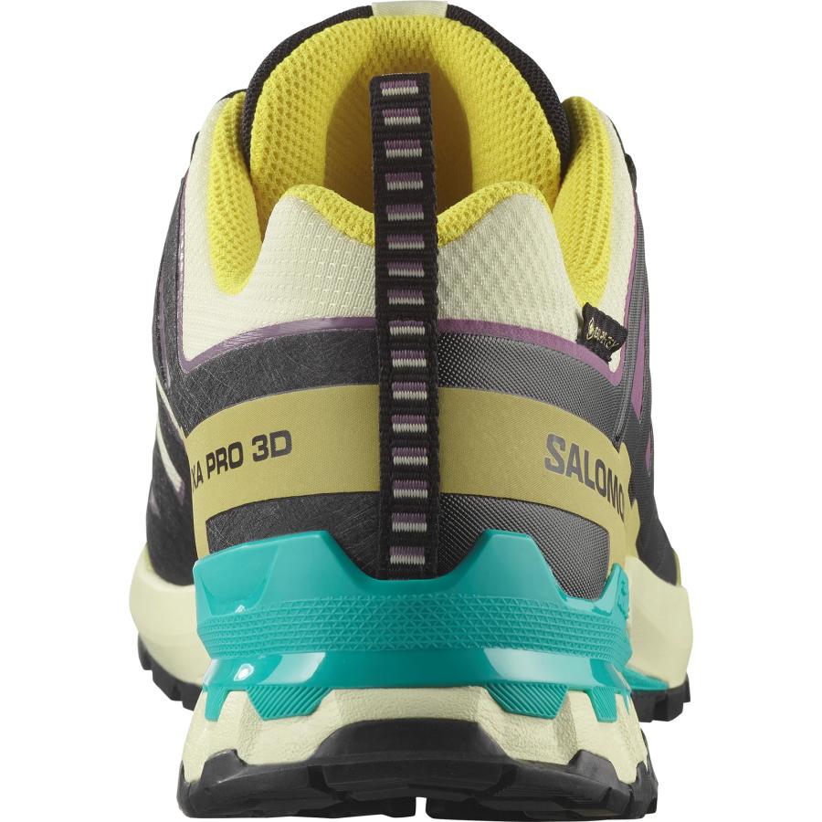 SALOMON（サロモン） SALOMON L47881700 XA PRO 3D V9 GTX カラー