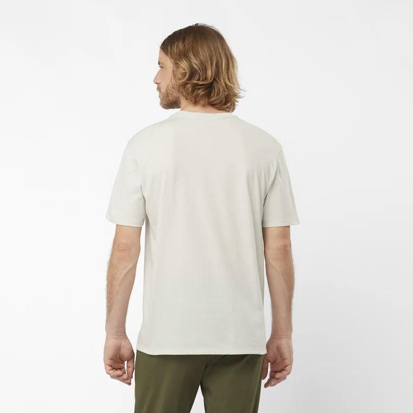 SALOMON（サロモン） SALOMON LC2029600 ESSENTIAL LOGO SS TEE カラー
