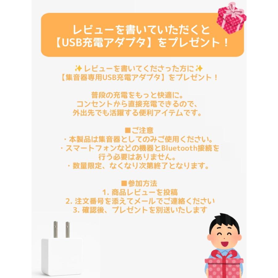 2024年モデル集音器【国内正規品】充電式 軽量 左右両用耳掛けタイプ