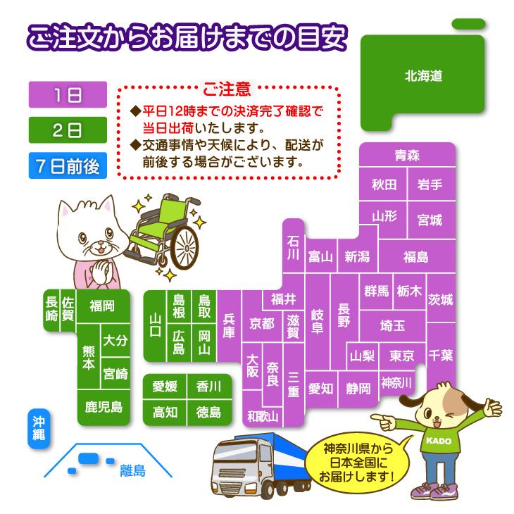 車椅子 車いす 車イス 軽量 コンパクト 介助式 簡易型 日進医療器 NAH-207 ブラック カドクラ特別仕様 Sサイズ | 日進医療器 | 15