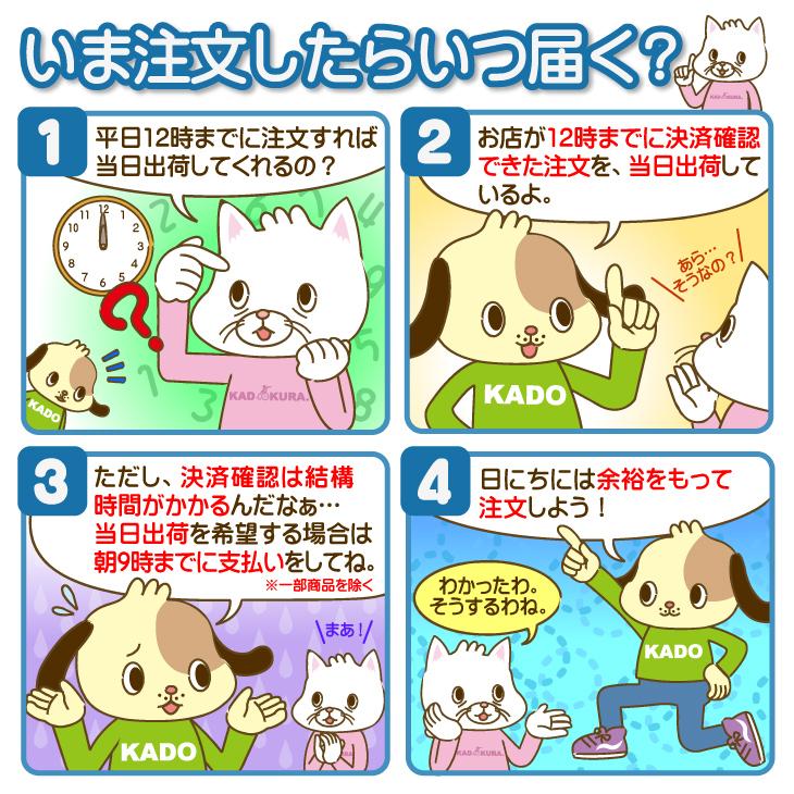 車椅子 車いす 車イス 軽量 コンパクト 介助式 簡易型 日進医療器 NAH-207 ブラック カドクラ特別仕様 Sサイズ | 日進医療器 | 16