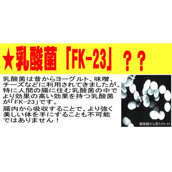 カフェトリニティ60本セット 2ケース 楽天市場】【最安値挑戦中