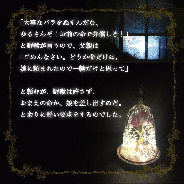 レビューを書いて宅急便送料無料】美女と野獣ライト 魔法の薔薇の