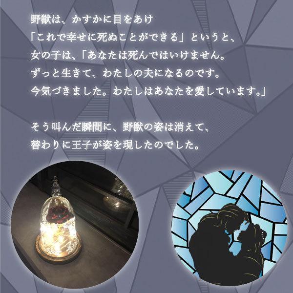 レビューを書いて宅急便送料無料】美女と野獣ライト 魔法の薔薇の