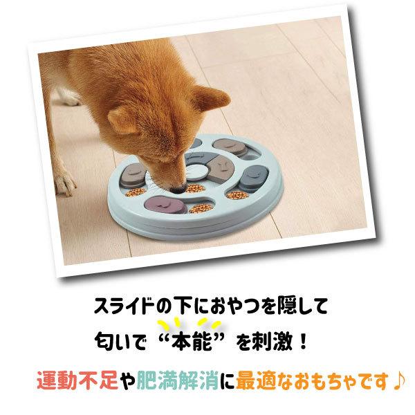 ノーズワーク 知育玩具 知育トイ おもちゃ オモチャ 犬 イヌ 猫 兼用