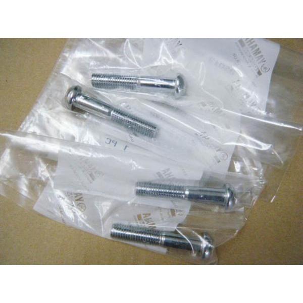 RZ250/350用 タンデムバーのネジ（スクリユ）純正品 新品 : ミズノ
