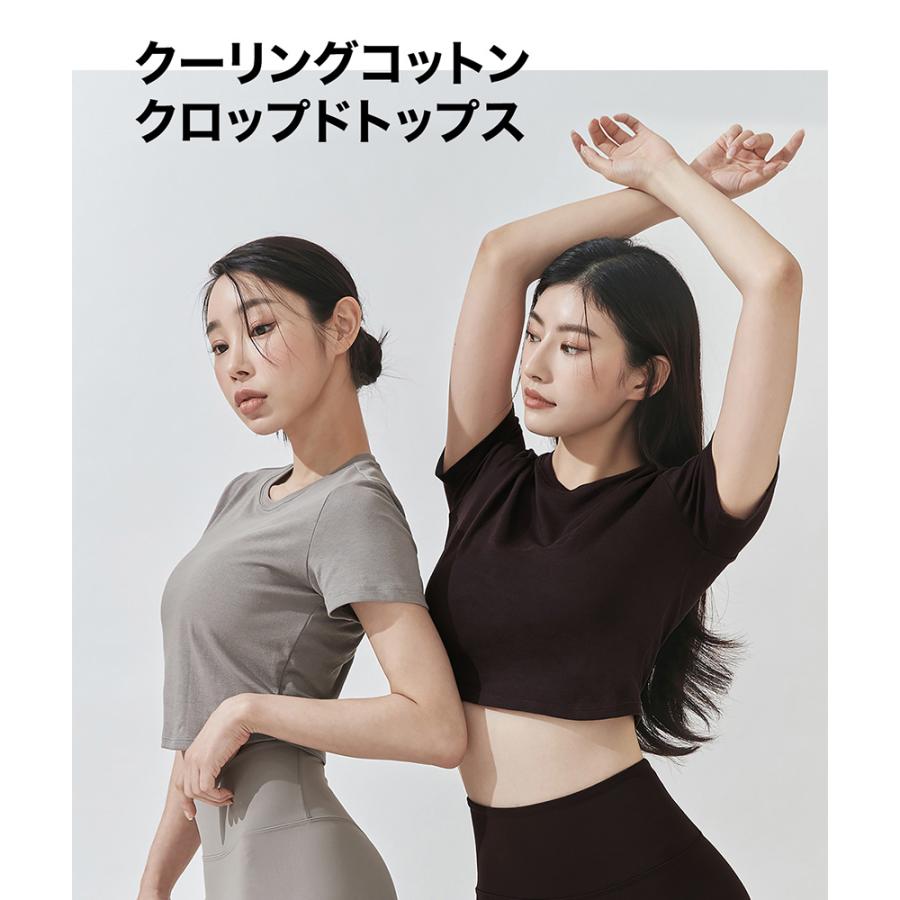 XEXYMIX（ゼクシィミックス） ゼクシーミックス クロップド丈 半袖 T