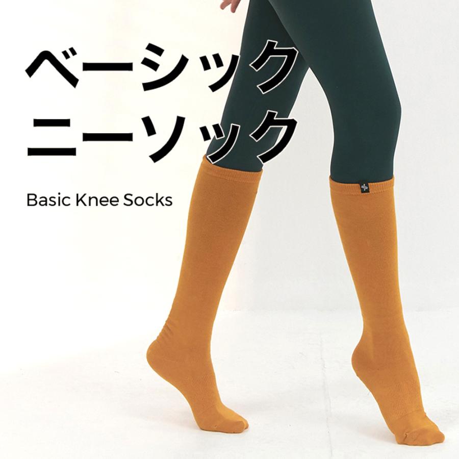 XEXYMIX ゼクシィミックス ゼクシーミックス ベーシック ハイソックス