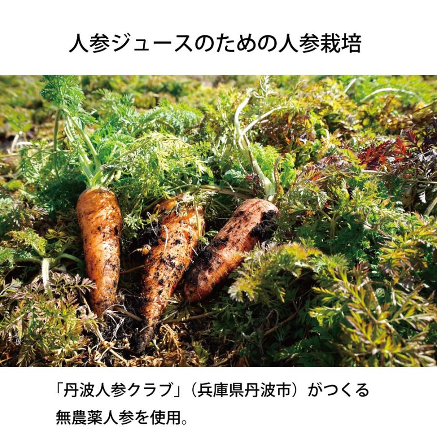 2026年産入荷 無農薬 にんじん ストレート 野菜ジュース まるごと