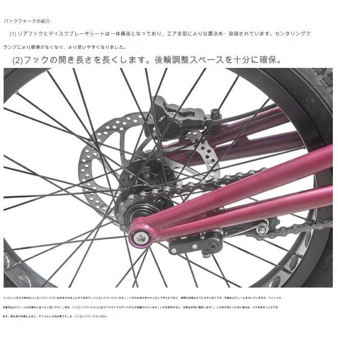 自転車 20インチBMXトライアルバイク/初心者および上級ライダー 自転車 20インチBMXトライアルバイク/初心者および上級ライダー