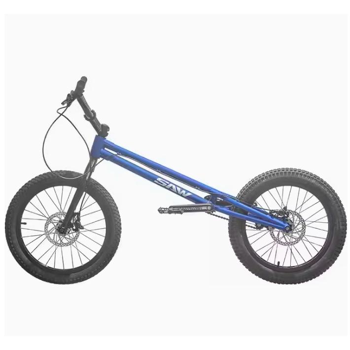 自転車 20インチBMXトライアルバイク/初心者および上級ライダー 自転車 20インチBMXトライアルバイク/初心者および上級ライダー