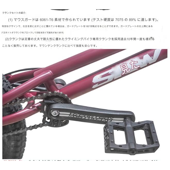 自転車 20インチBMXトライアルバイク/初心者および上級ライダー 自転車 20インチBMXトライアルバイク/初心者および上級ライダー