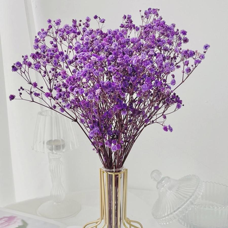 かすみ草　＊超大粒ラベンダーみるく＊　8mm以上　ドライフラワー かすみ草 ミニブーケ ラベンダーカラー ドライフラワー fukurosan 通販