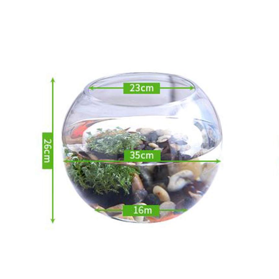 透明な小さな金魚タンクガラス水槽を見る丸い大型コンテナミニ