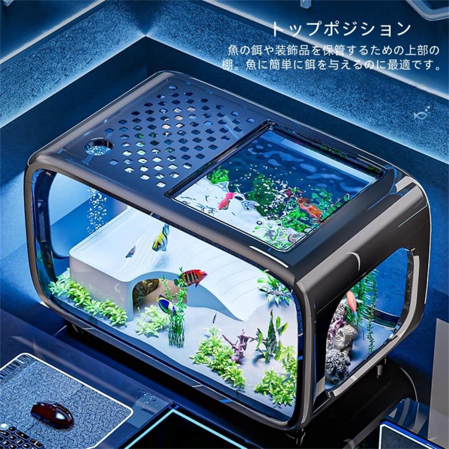 水槽 小型 金魚鉢 アクアテラリウム ミニ水槽 セット 透明 ベタ メダカ