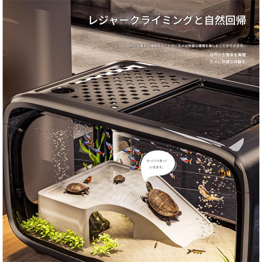 水槽 小型 金魚鉢 アクアテラリウム ミニ水槽 セット 透明 ベタ メダカ