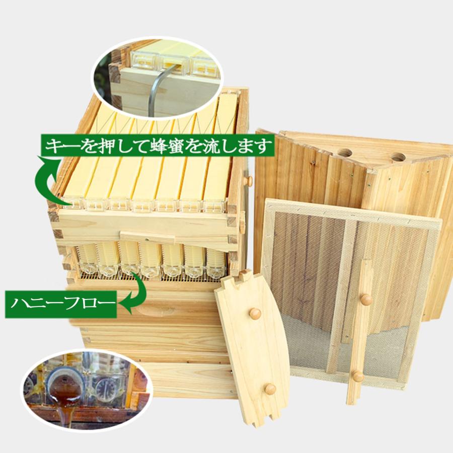 蜜蜂巣箱 養蜂箱 蜂の巣 養蜂器具 文蜂 巣箱 蜜蜂飼育箱 ミツバチ巣箱