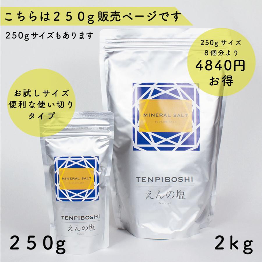天然天日塩250g 送料無料 えんの塩 塩 ソルト 天然塩 天日塩 調味料