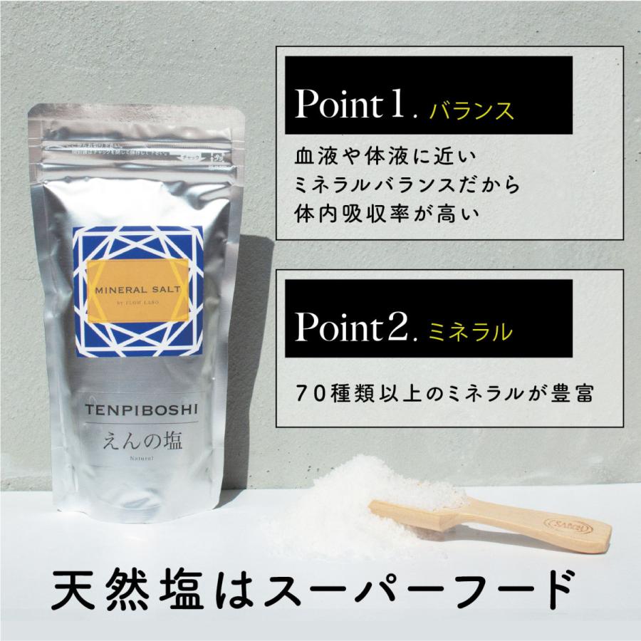 天然天日塩250g 送料無料 えんの塩 塩 ソルト 天然塩 天日塩 調味料