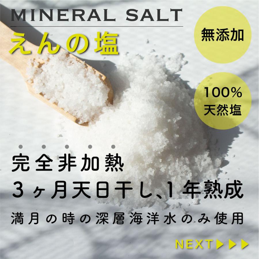 天然天日塩250g×3個 送料無料 えんの塩 塩 ソルト 天然塩 天日塩 調味