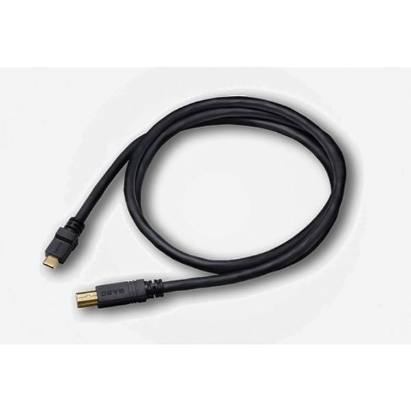 SAEC サエク STRATOSPHERE SUS-020/1.2m USBケーブル : サウンド