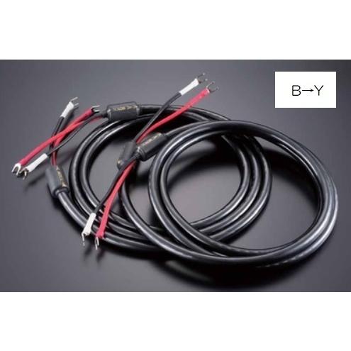 TIGLON 記念モデル TiGLON ティグロン MSS-DF100SP-HSE/2.5m/BY B→Y