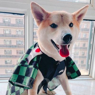 鬼滅の刃 ペット服 犬服 猫服 炭治郎 禰豆子 我妻善逸 富岡義勇 胡蝶 杏寿郎 コスプレ コスチューム 小型犬 中型犬用 猫用 かわいい 新年 パーティー ペット用品 P04 Cwf122 Xosi 通販 Yahoo ショッピング