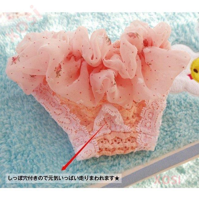 マナーパンツ 女の子 サニタリーパンツ 生理パンツ サニタリー?ショーツ 犬の介護?生理用?おもらし対策 犬服 :xpet456:Xosi - 通販 - Yahoo!ショッピング マナーパンツ 女の子 サニタリーパンツ 生理パンツ サニタリー?ショーツ 犬の介護?生理用?おもらし対策 犬服 :xpet456:Xosi - 通販 - Yahoo!ショッピング