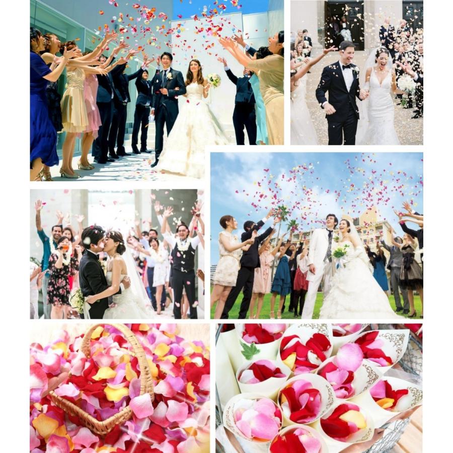 フラワーシャワー 結婚式ブーケ 造花 花びら 造花花びら 花びらのみ フラワー ペタル サプライズ フラワーペタル 10枚 フラワーシャワーウェディング B00u005hlm エクスペリエンスデザイン 通販 Yahoo ショッピング