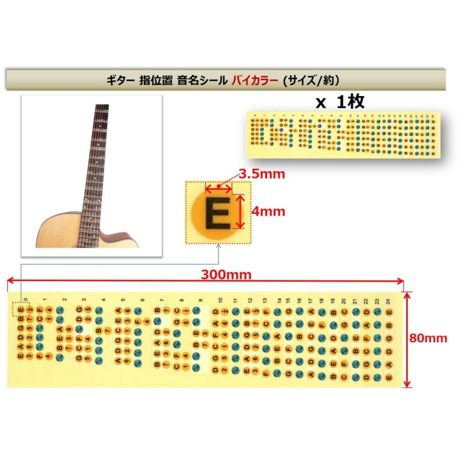 ギター 音名 スケール コード シール 指板 フレットボード 上達 トレーニング フレット シート アレンジ アドリブ ギターコード｜xpdesign｜04