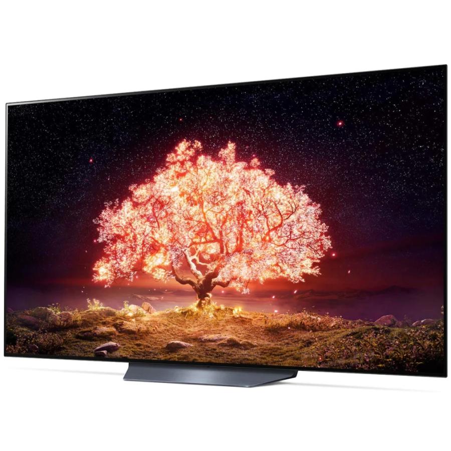 LGエレクトロニクス OLED65B1PJA LG 65型 4Kチューナー内蔵 有機 LGエレクトロニクス OLED65B1PJA LG 65型 4Kチューナー内蔵 有機