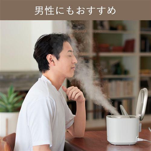 ナノケア EH-SA0B-N スチーマー ゴールド調 温冷・化粧水ミストタイプ