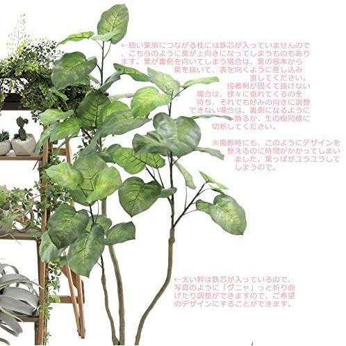 安い購入 プレミアム光触媒 フェイクグリーン 人工 観葉植物 観葉樹 造花 空気清浄 花粉除去 消臭 脱臭 銀配合 人工 大きめ コスパ重視葉に注意 楽天ランキング1位 Krgproperty Com