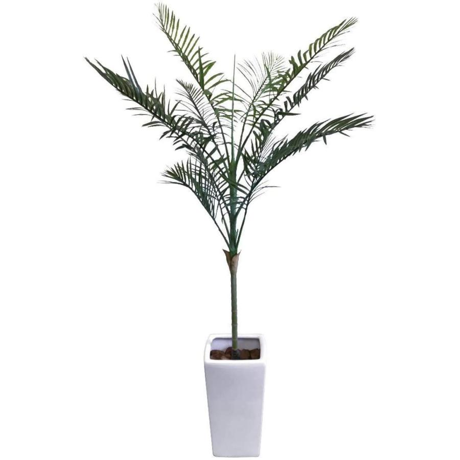 国内最安値 人工観葉植物 フェイクグリーン 観葉植物 造花 光触媒 大型 屋外可 テディベアパームツリー 140cm 白鉢 陶器製 フェザーパーム ラ Ans 通販 Yahoo ショッピング 激安の Khilalux Ma