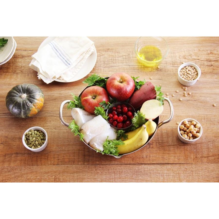 CANAGAN フリーレンジチキン 2kg 2袋 穀物フリー