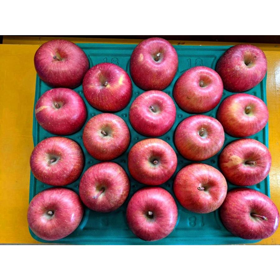 ご家庭用　サンふじ（葉取らずふじ）　15kg