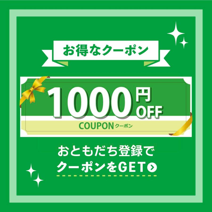 アンデス電気 交換用フィルター[P最大10倍 値引クーポンあり アンデス電気 交換用フィルター[P最大10倍 値引クーポンあり