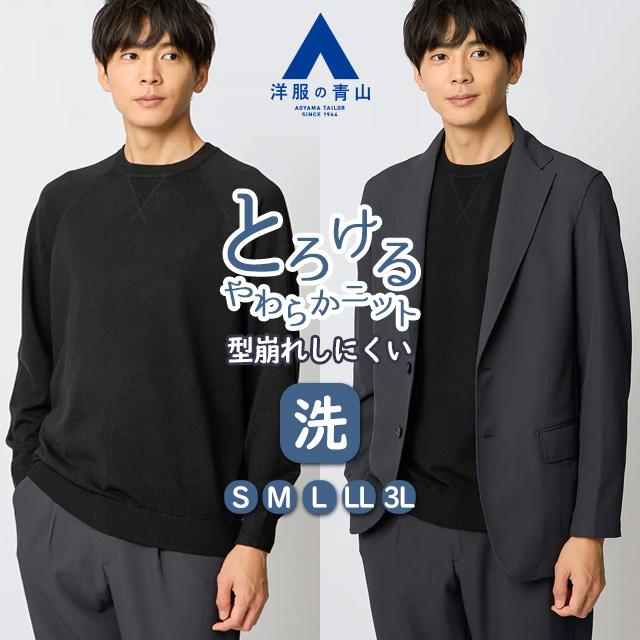 AOYAMA 【洋服の青山】クルーネックニット ラグランスリーブ 長袖