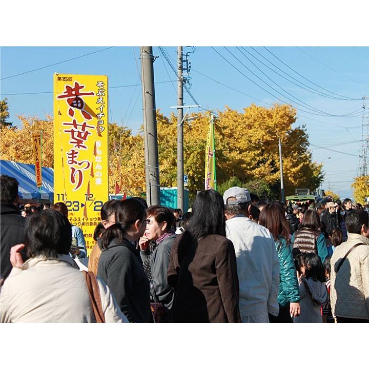 日本国内産》 江戸時代から続く銀杏産地 祖父江 藤九郎 希少 特大4L大粒×1箱 もっちり 高級銀杏 焼き銀杏 揚げ銀杏 :ginnan1:AROVEINA・アロヴィーナ - 通販 - Yahoo!ショッピング 日本国内産》 江戸時代から続く銀杏産地 祖父江 藤九郎 希少 特大4L大粒×1箱 もっちり 高級銀杏 焼き銀杏 揚げ銀杏 :ginnan1:AROVEINA・アロヴィーナ - 通販 - Yahoo!ショッピング