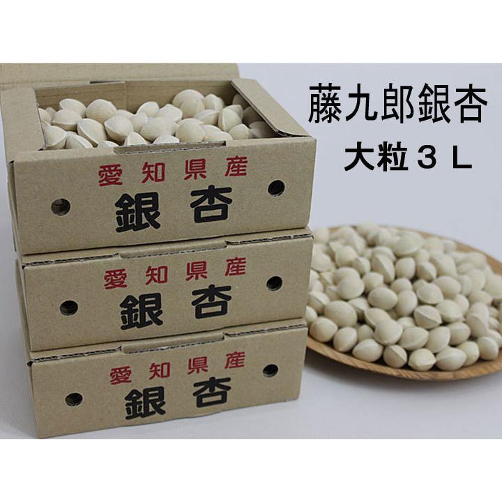 2025年新物 藤九郎 銀杏 祖父江産 3L 3kg 2025年度《日本国内産》お歳暮/プレゼント 江戸時代から続く銀杏