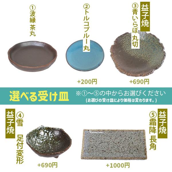 受け皿選べる 苔玉雑木シリーズ：苔玉 出猩々もみじ* モミジオリジナル