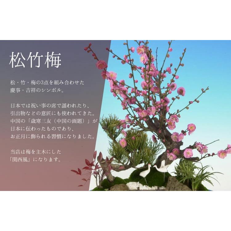 迎春：特大松竹梅*鶴付き 花色選べる（2026年開花終了）会社 玄関 門松