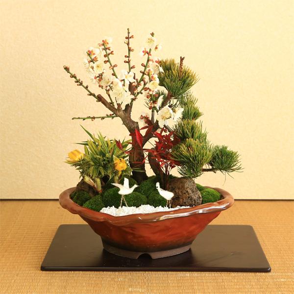 迎春:松竹梅(変形赤釉薬鉢)* 花色選べる(2025年早春開花予定 迎春:松竹梅(変形赤釉薬鉢)* 花色選べる(2025年早春開花予定
