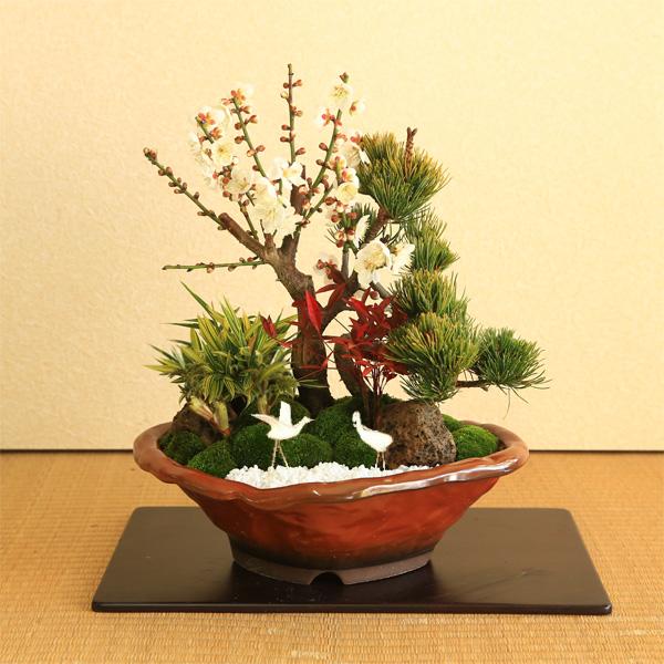 迎春：松竹梅(変形赤釉薬鉢)* 花色選べる（2026年開花終了）鶴付き