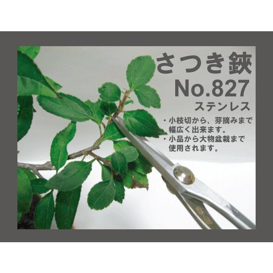 盆栽道具：兼進作 小枝切鋏 No.827*資材 : 遊恵盆栽 Yahoo!店