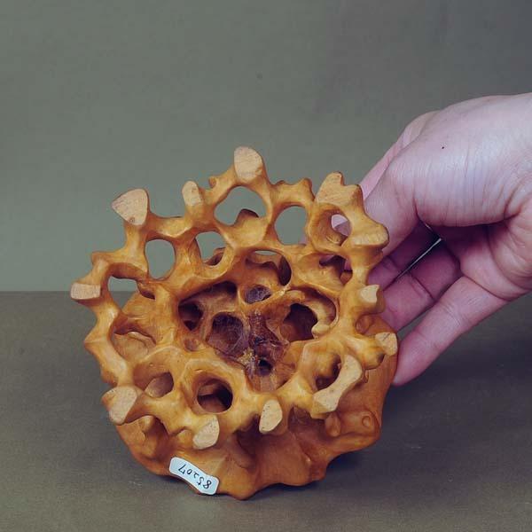 小飾：根飾　10.5cm【現品】*資材_2