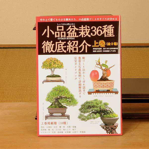 本：小品盆栽36種徹底紹介（上）*資材 : 遊恵盆栽 Yahoo!店 - 通販