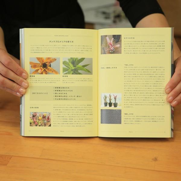 本：エアプランツとその仲間たち ブロメリアハンドブック*資材 : 遊恵